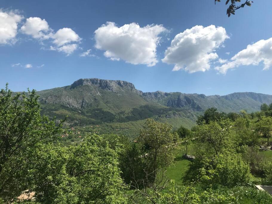 Vila Grandma'S Hut Nikšić Exteriér fotografie